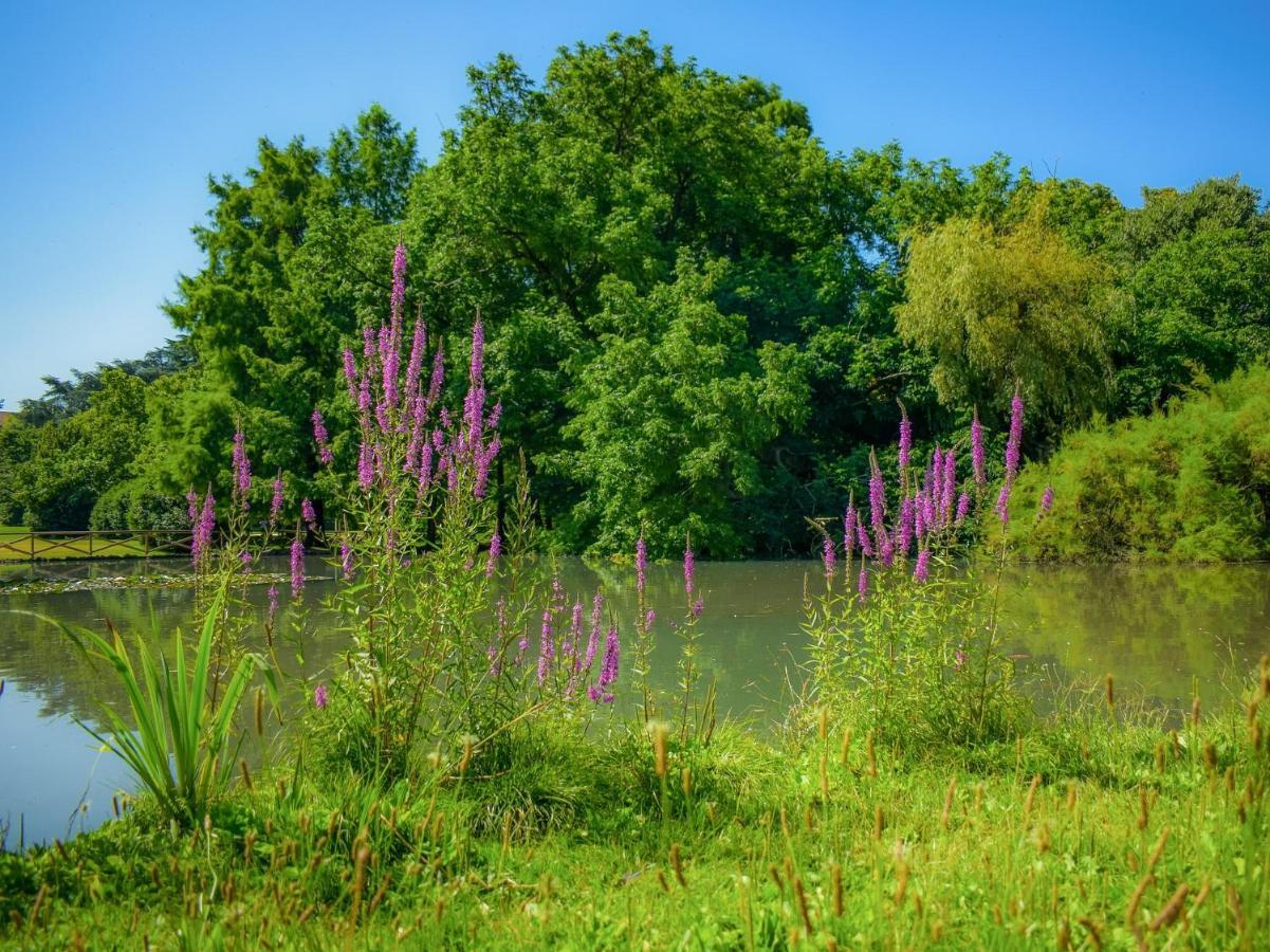 Casa Paradiso: Un'Oasi Di Relax Cinisello Balsamo Esterno foto